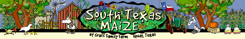 South Texas MAiZE